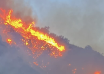 Voice of America Buries LA Fires Story, Ignores Bipartisan Criticism of Democratic Mayor