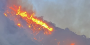 Voice of America Buries LA Fires Story, Ignores Bipartisan Criticism of Democratic Mayor